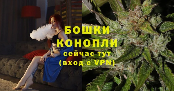 PSILOCYBIN Баксан