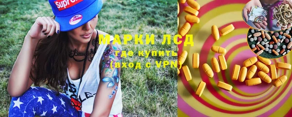 PSILOCYBIN Баксан