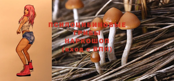 PSILOCYBIN Баксан