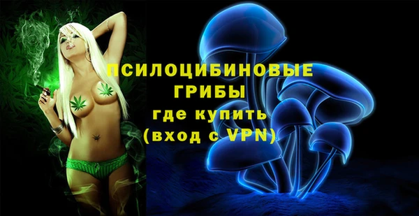 PSILOCYBIN Баксан